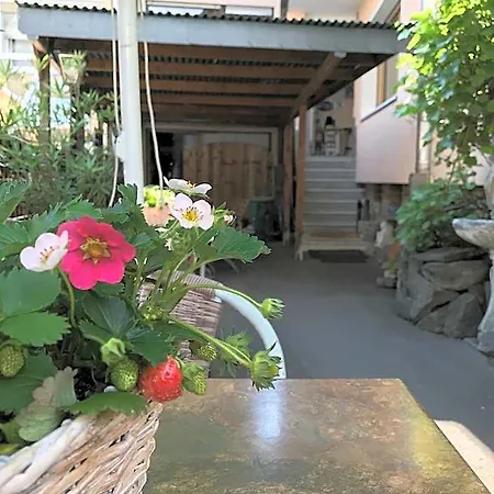 Restaurant Alt